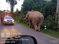 ส่งลูกค้าชาวจีนสะพานไทยลาวหนองคาย