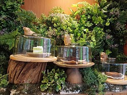 เขาใหญ่ส่งสนามบินสุวรรณภูมิ