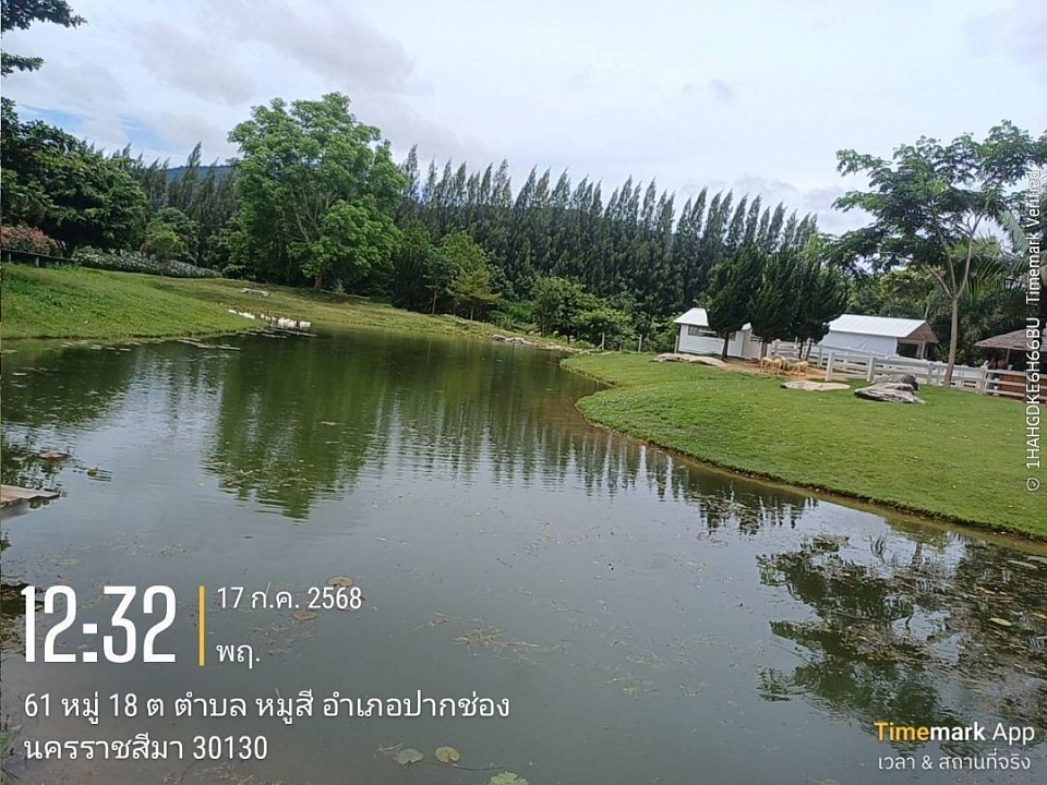 รวมทั้งเก๋งรับเหมาส่วนบุคคล