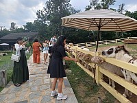 รถเก๋งรับเหมา พร้อมคนขับ ทั่วไทย